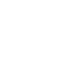 award ribbon, program icon